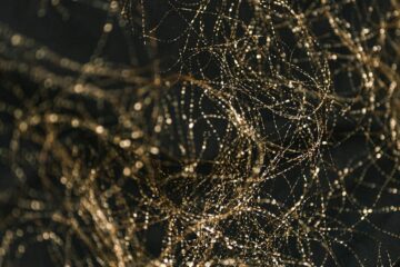 Diagrama del Technology Radar de Thoughtworks con los cuatro anillos Adopt, Trial, Assess y Hold