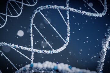 Reconstrucción 3D del ultrasonido cerebral de un cerebro humano vivo a través del cráneo