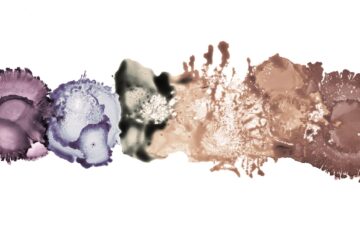 Paleta de tonos de piel generada con un espacio de color RGB inclusivo