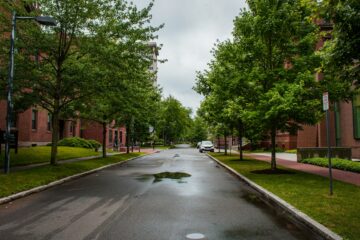 AI professors: science faculty positions at Harvard
